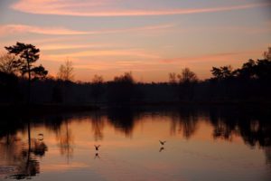 stiltetocht