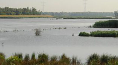 Bijzondere lange wandeling op 7 juni